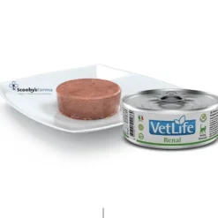 Vet Life cat RENAL Farmina gatos 12×85 g