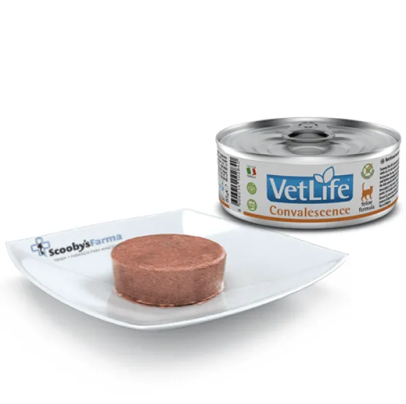 Vet Life Convalescence gatos Farmina 12×85 g