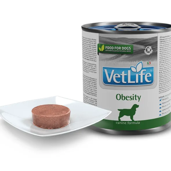 VetLife OBESITY perros Farmina 300 g