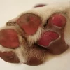 Vetramil CERA Podal almohadillas perros 120 g