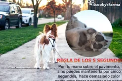 Vetramil CERA Podal almohadillas perros 120 g